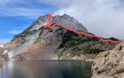 Newsletter Fall 2025